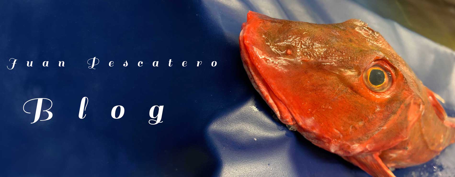 Blog Juan Pescatero