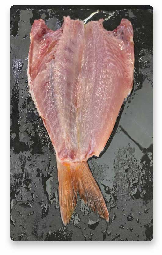 Salmonete limpio abierto para horno